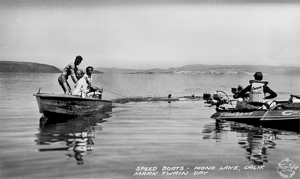 mono lake races